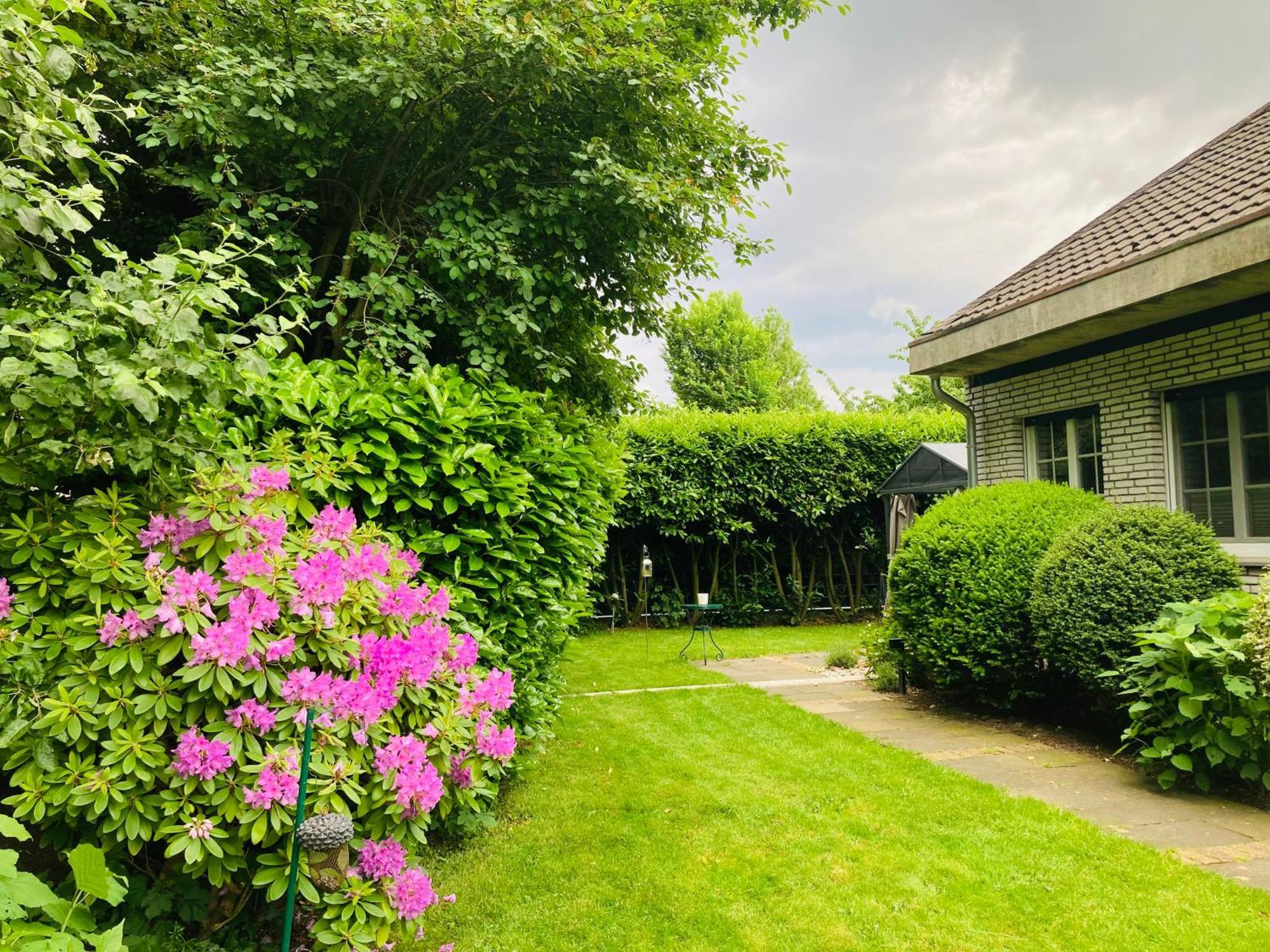 Ferienwohnung Im Haus Annabelle วีเซอ ภายนอก รูปภาพ